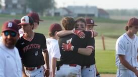 Baseball: Fulton falls to Dakota in 1A sectional semifinal