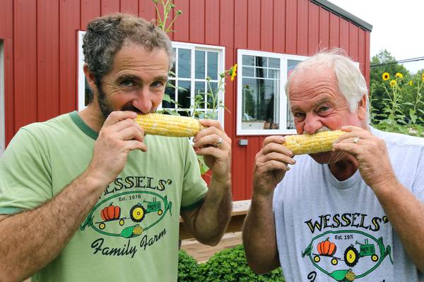 Waterman family farm spent months growing hundreds of ear-resistible corn for DeKalb Corn Fest 