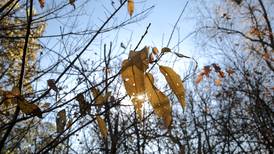 Will County forest preserves offer  wellness programs in March 