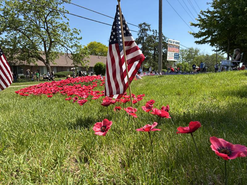 A field of poppies - a symbol of remembrance - was included in the Crystal Lake Memorial Day Ceremony on Monday, May 25, 2026, at Union Cemetery.