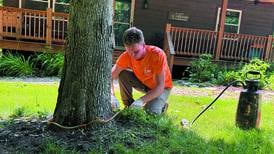 Taylor’s Way keeps your property beautiful and healthy