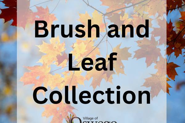 Oswego announces brush collection, leaf pickup dates