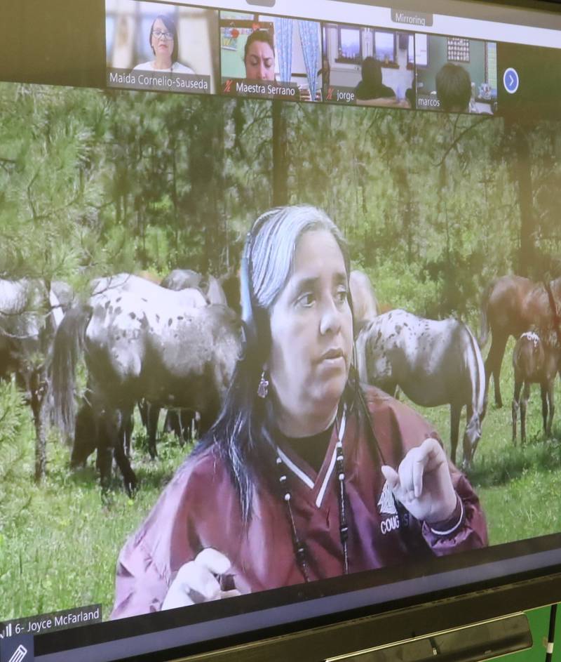 Joyce McFarland, education manager for the Nez Perce Tribal Nation in Idaho, recently spent an hour on Zoom with fifth grade students at A.O. Marshall Elementary School in Joliet discussing the tribal nation's culture and history.