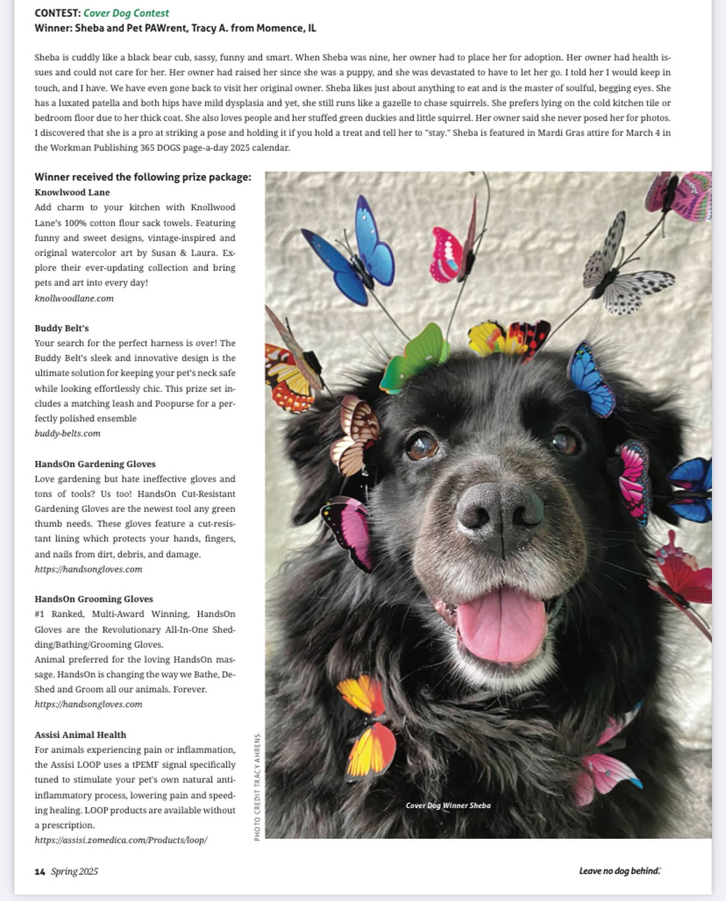 The Spring 2025 issue of FIDO Friendly magazine features Sheba, a dog adopted from Iroquois County Animal Rescue by Momence resident Tracy Ahrens.