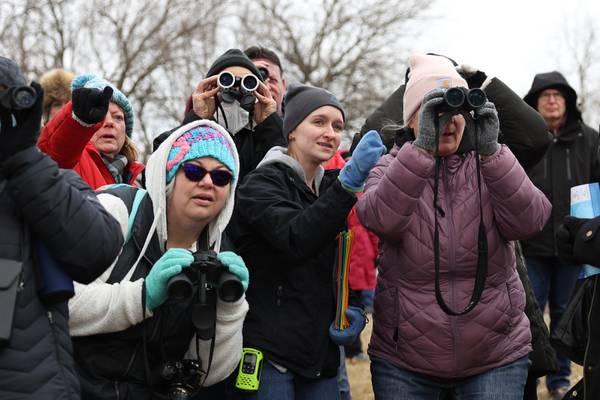 Eagle Watch returns to Channahon with raptors, hikes and hands-on fun