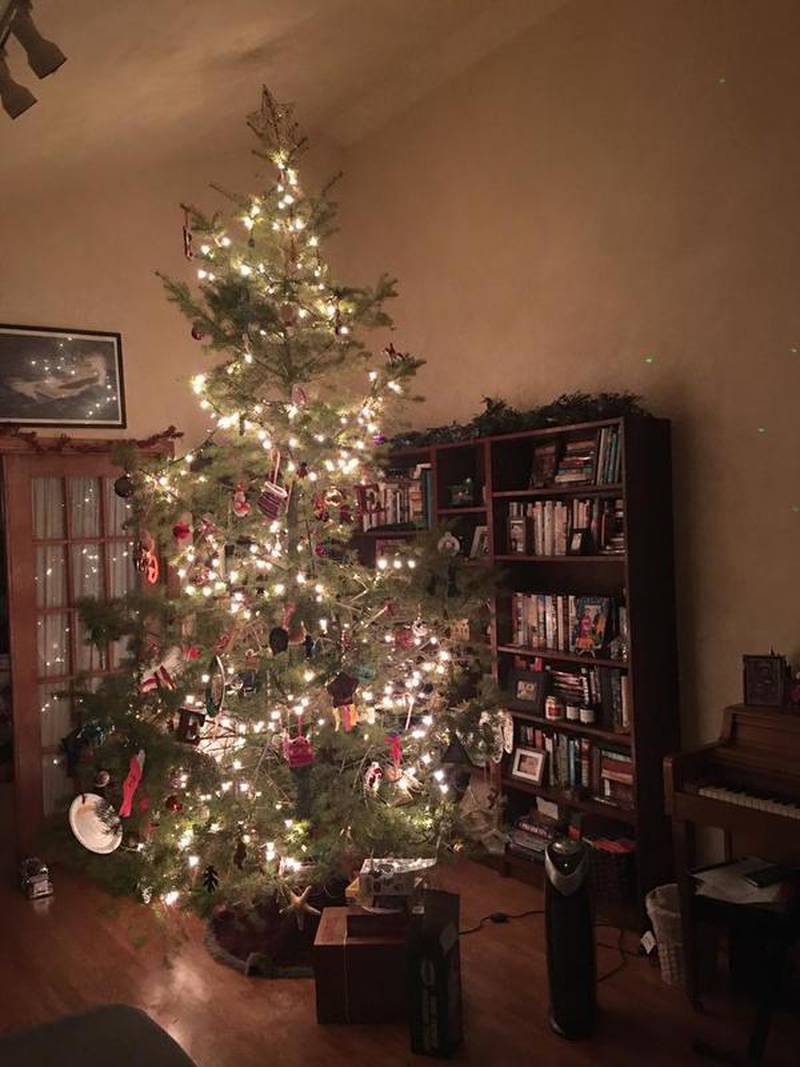 Waste Management picks up Christmas trees until Jan. 31 Shaw Local