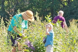 Bureau, La Salle, Marshall, Putnam County Unit extensions have master gardener scholarships available