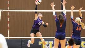 2025 Daily Journal Girls Volleyball All-Area Team