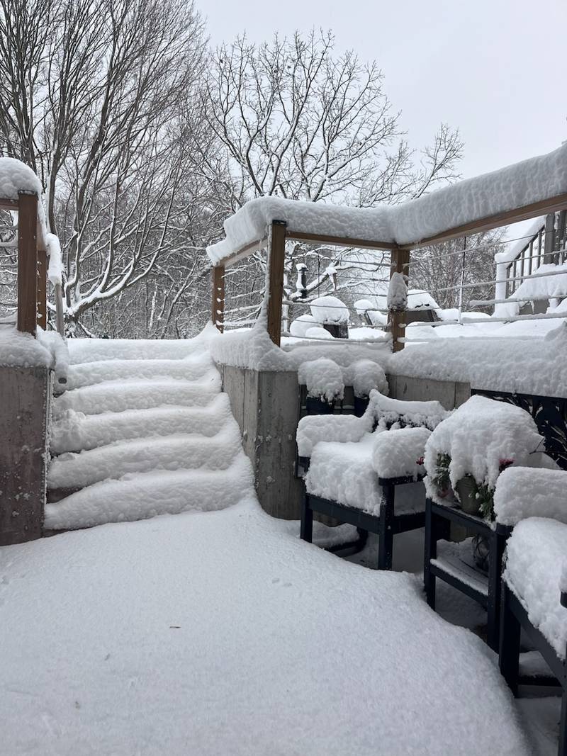 A backyard in DeKalb is covered in snow on the morning of Friday, January 12, 2024