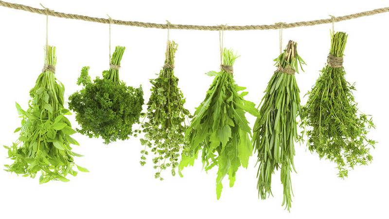 Illinois Valley Herb Guild holds annual plant sale May 9 in Peru