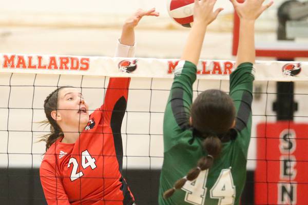 2025 NewsTribune area volleyball leaders