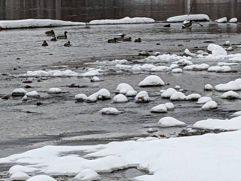 Ice blocks can be seen on the Fox River along Hudson Crossing Park in downtown Oswego on Sunday, Nov. 30, 2025.