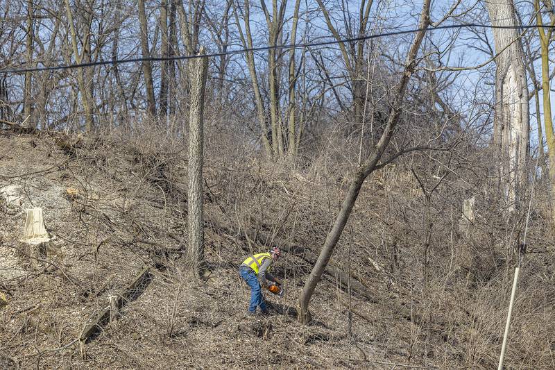 Trees and brush are cleared Tuesday, March 11, 2025, at the site of Project Rock in Dixon.