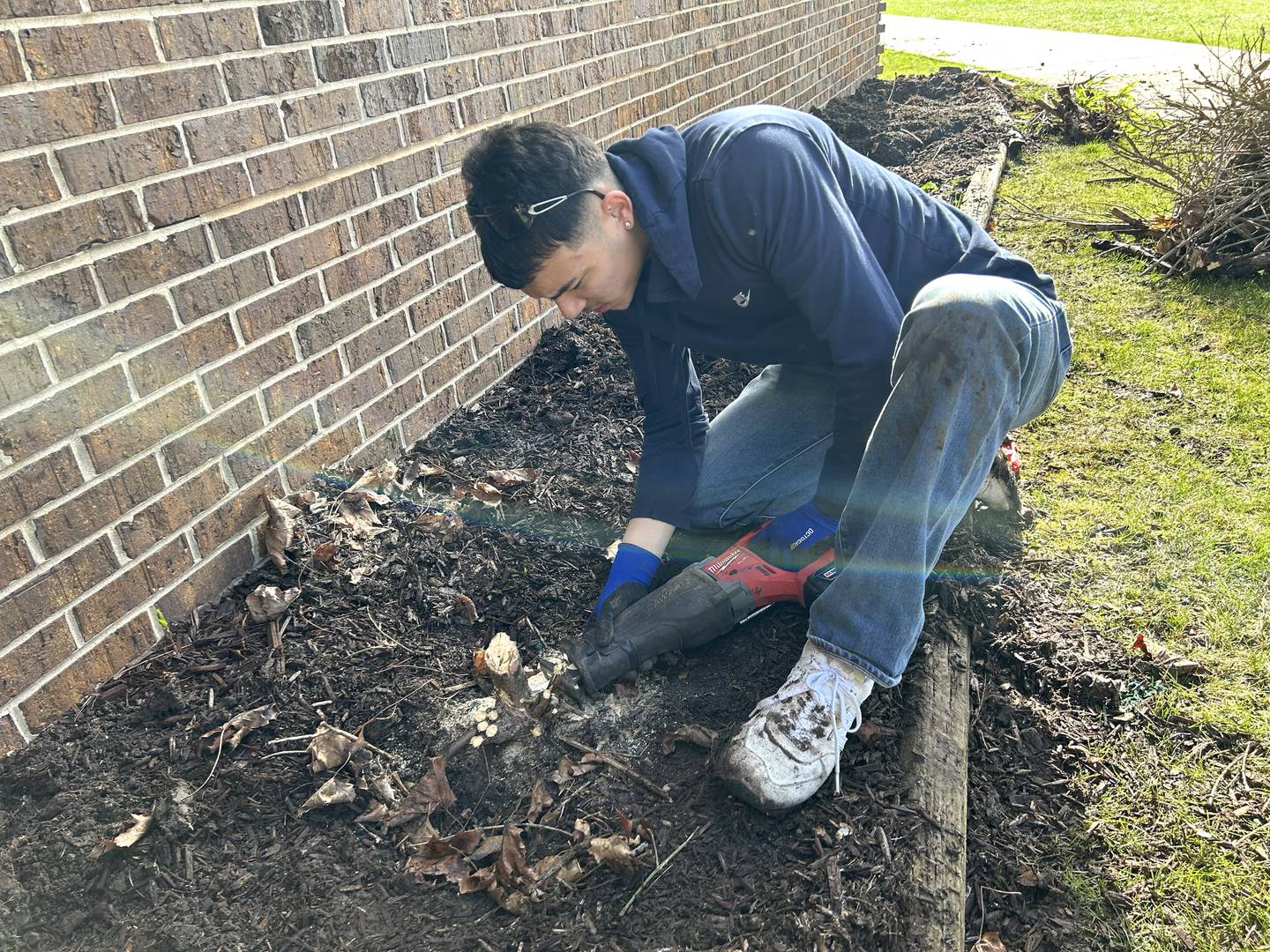 Daniel Gonzalez, a junior at Oregon High School, cuts out a plant near the Oregon Elementary School's Etnyre wing gym entrance making it ready for new plants on Saturday, April 5, 2025.