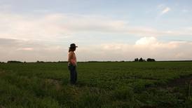 No-cost mental health access available for ag community