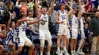 Boys basketball: Princeton claims conference championship