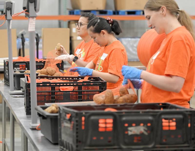 Volunteers sort potatoes at the Northern Illinois Food Bank in Geneva on Thursday, July 10, 2025.