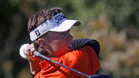 Boys golf: 2024 Northwest Herald All-Area team