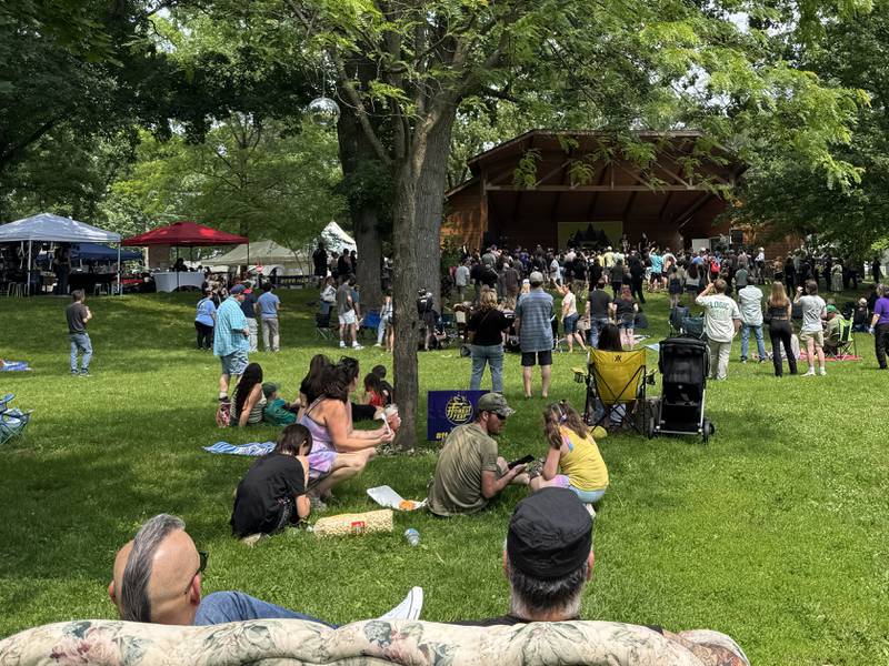 Some stood, and some sat in comfort to watch Pet Needs play at fForest Fest 2025 on Saturday, June 7, 2025.