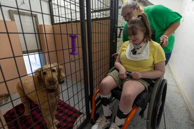 Rene pushes Sarah next to (dog) Albus on Friday, June 27, 2025 at Loch Countryside Kennel in Peru.