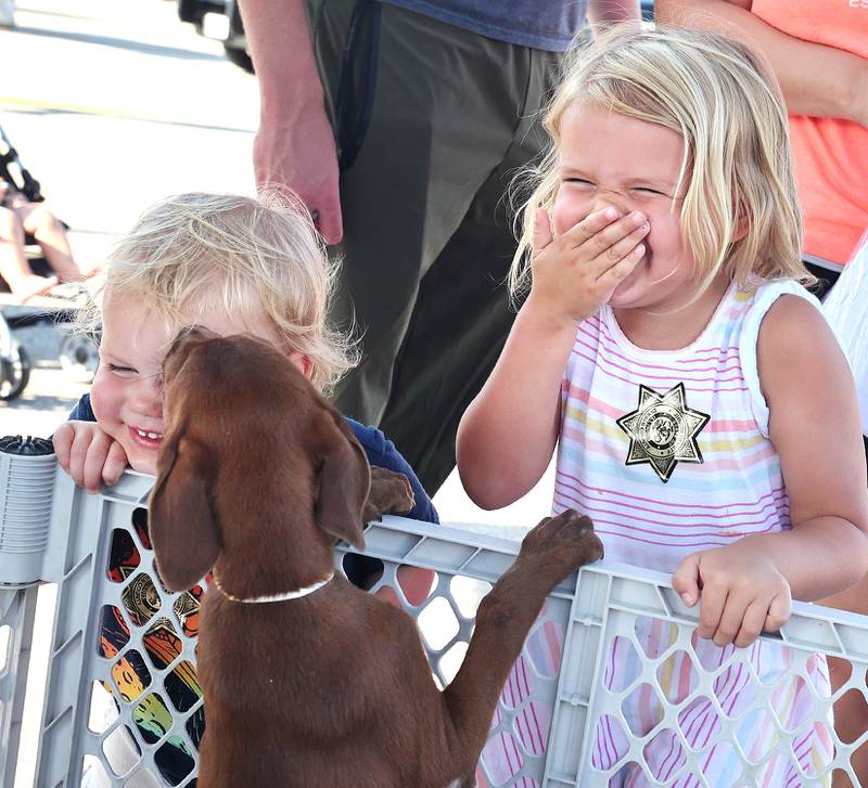Isaac Schaeffer, 2, and his sister Molly, 4, from Sycamore, get kisses from puppies at the Tails Humane Society booth Tuesday, Aug. 2, 2022, during National Night Out in the parking lot of the Walmart on Sycamore Road in DeKalb. The puppies are available for adoption.