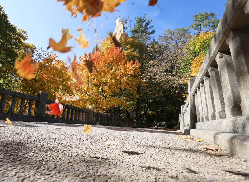 Leaves blow in the wind at Matthiessen State Park on Wednesday, Oct. 19, 2022 in Oglesby.