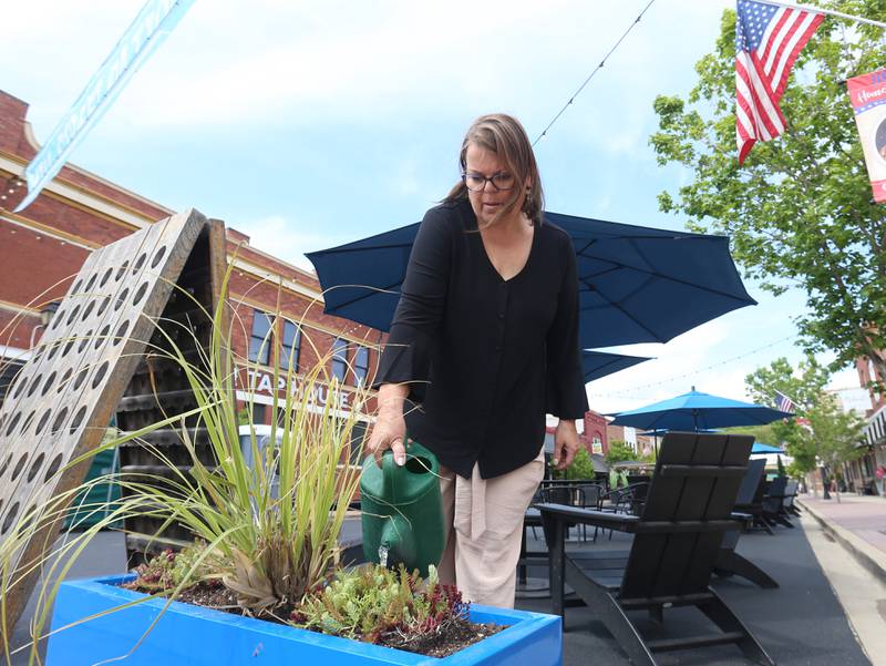 Jennifer Ridge of August Hill Winery waters plants during the opening Mill Street dining on Friday, May 8, 2026 downtown Utica. The road will be closed to traffic until late October.