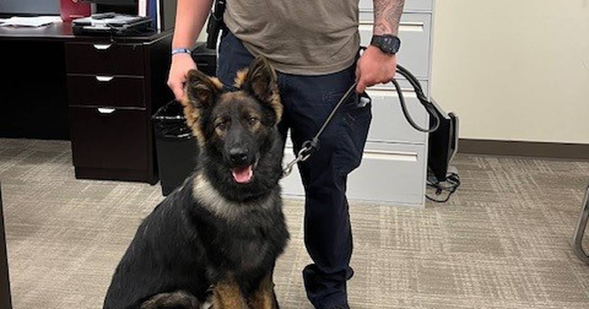 Streator police introduce new K 9 Shaw Local
