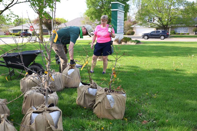 Ryan Sweeney of the Morton Arboretum help loads an Eastern Red Bud for Patty Adams at the Green Escape Earth Day Event on Wednesday, April 22, 2026 in Joliet.