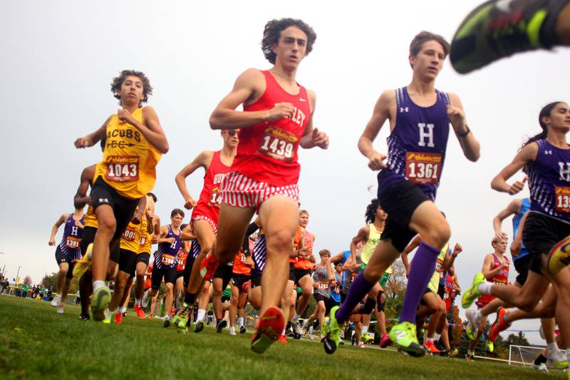 Boys runners begin the Fox Valley Conference Cross Country Meet at McHenry County College in Crystal Lake on Saturday, October. 18, 2025.