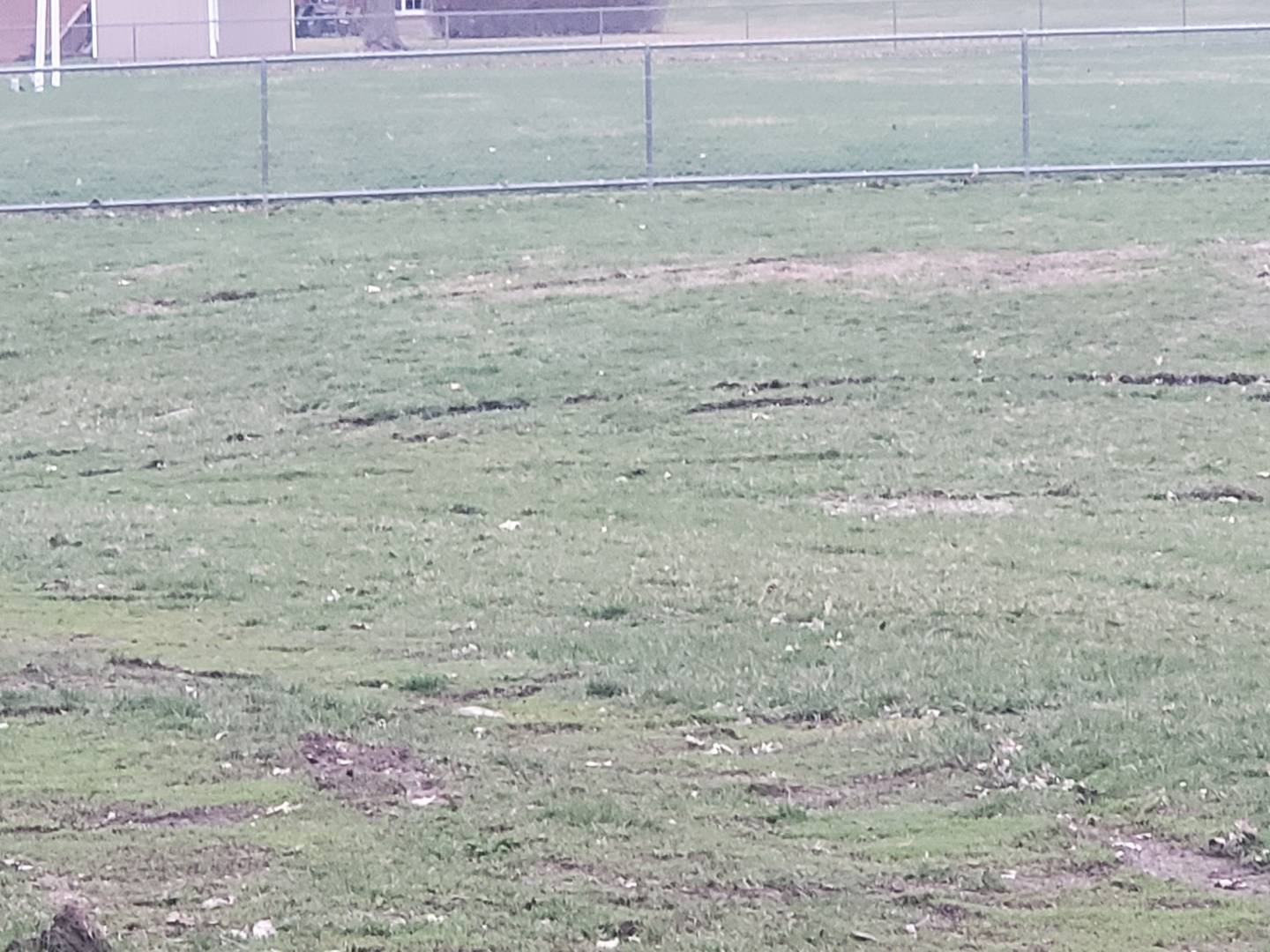 “There was some significant damage done to Kirby Park,” Pellegrini said. “Somebody felt compelled to drive their pick-up through the park and do donuts. They tore it up pretty significantly. Don’t come to Spring Valley and think you are going to get away with it because our police force got this guy.”