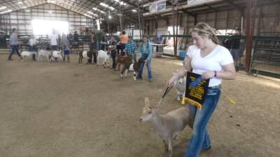 Photos: Lee County 4-H Fair Thursday