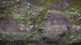 Indian Head carving found in Franklin Creek State Park