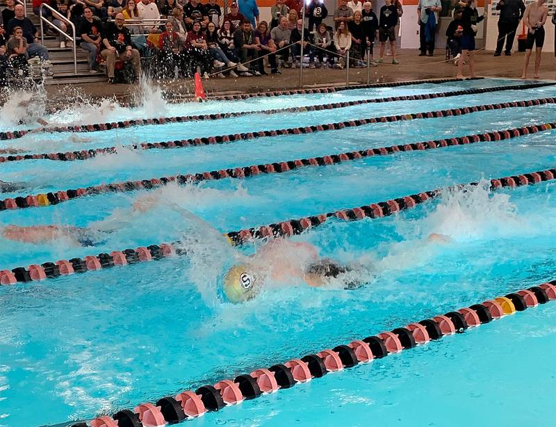 Sterling swimmer Skylar Drolema competes in the 100-yard freestyle at the United Township Sectional on Saturday, Feb. 18, 2023 in East Moline.