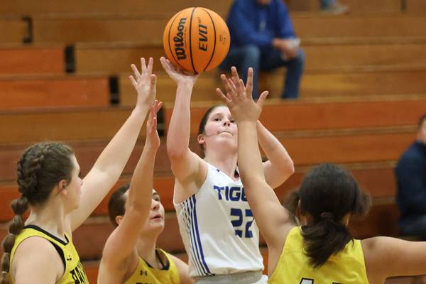 NewsTribune girls basketball stat leaders