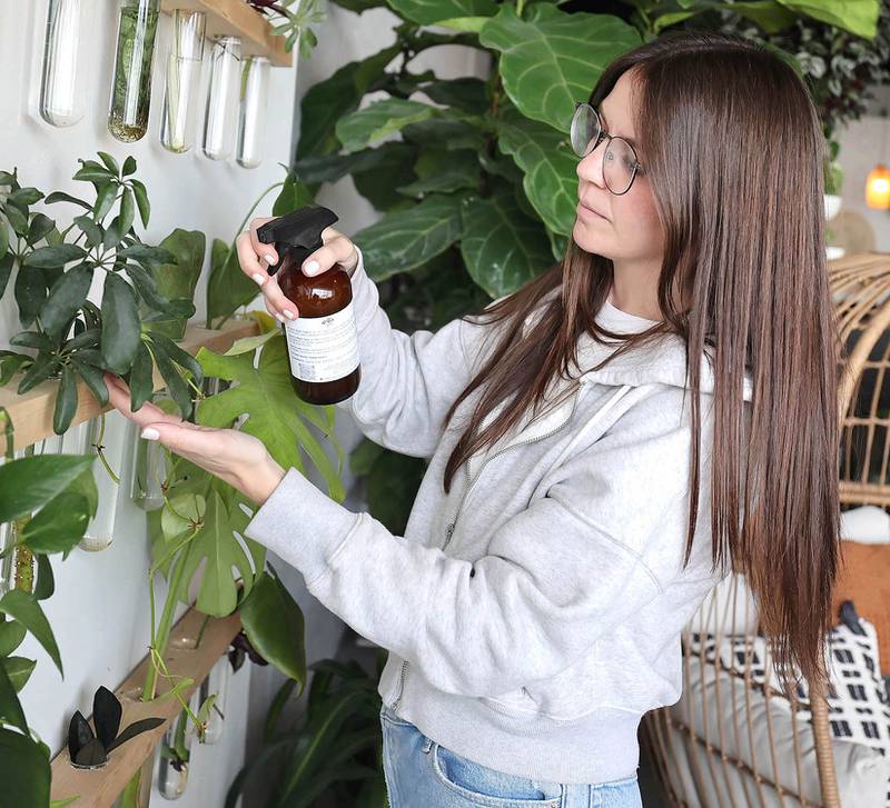 Kailey Rorer, owner of The Greenhouse, 265 W. Peace Road in Sycamore, sprays the cuttings on the propagation wall Tuesday, April 19, 2022, at the store. The Greenhouse will celebrate its grand opening on Saturday, April 23. The store will sell houseplants, plant stands, pots, and other giftable items. The Greenhouse is owned by Kailey and Troy Rorer of Sycamore. Business hours are 10 a.m. to 5 p.m. Wednesdays through Fridays, 10 a.m. to 4 p.m. Saturdays and 10 a.m. to 2 p.m. Sundays.