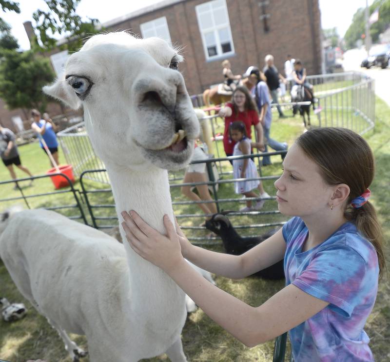 Noelle Clancy makes friends with a llama at a petting zoo Tuesday which was part of Sheridan’s 4th of July celebration.