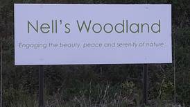 U of I Extension to offer Accessible Hike June 6 at Nell’s Woodland