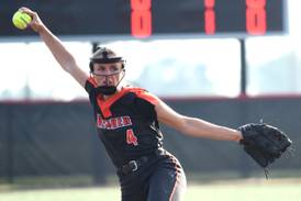 Photos: Beecher vs. Auburn, Class 2A State semifinal softball