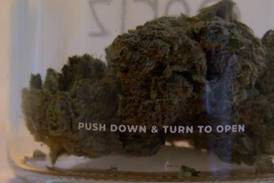 7 years after legalization, final recreational marijuana licensing lawsuit goes to court