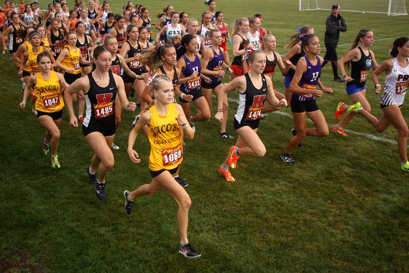 Girls runners begin the Fox Valley Conference Cross Country Meet at McHenry County College in Crystal Lake on Saturday, October. 18, 2025.