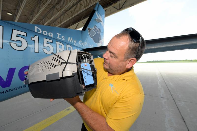 Aurora Municipal Airport employee John Luman helps unload some of dogs and cats rescued from the recent Texas Floods.  The animals were flow north on a Dog Is My CoPilot flight to the Aurora Municipal Airport on Thursday, Jul 24, 2025 in Sugar Grove.