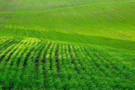 Lee, Carroll, Ogle and Whiteside Farm Bureaus to host crop marketing outlook
