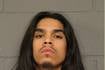 Wonder Lake man charged with attempted murder in Chicago expressway shooting