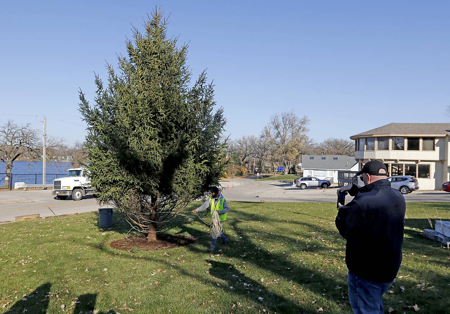 A workers from Heritage Farms Nursery removes the rope holding up the branches after planting a pine tree in the triangle park at the intersection of Hancock Drive and East Wonder Lake Road on Wednesday, Nov. 18, 2023. Plans are in the works for the Hancock Drive area of Wonder Lake to be annexed into the village.
