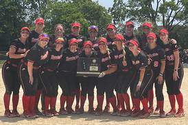 Softball: Obstruction call looms big in Barrington’s sectional final win over Huntley