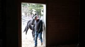 Photos: Trying to save Casey's Safe Haven in Maple Park