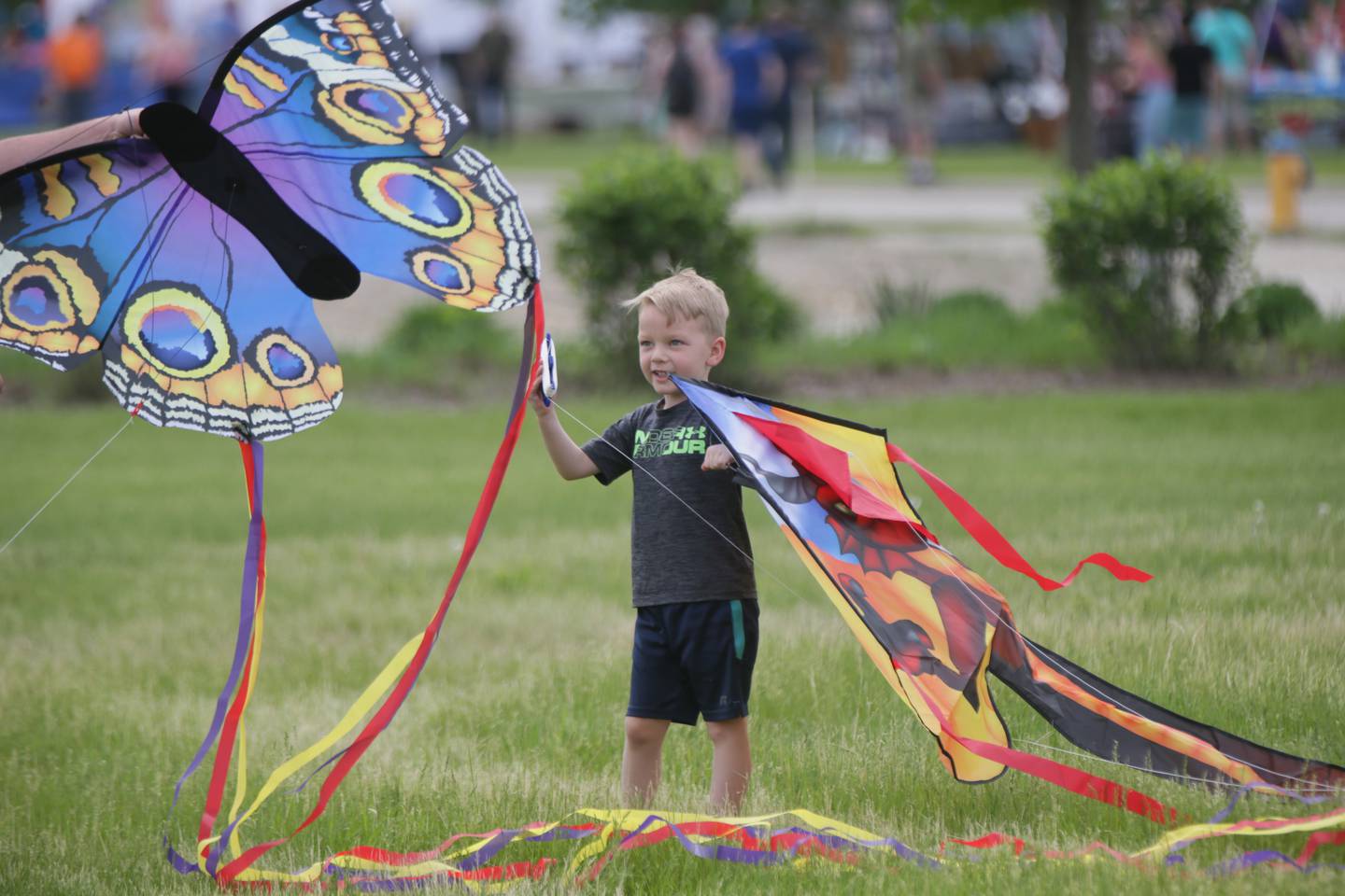 Ottawa’s ‘Kites In Flight’ Fest Soars Again! Shaw Local