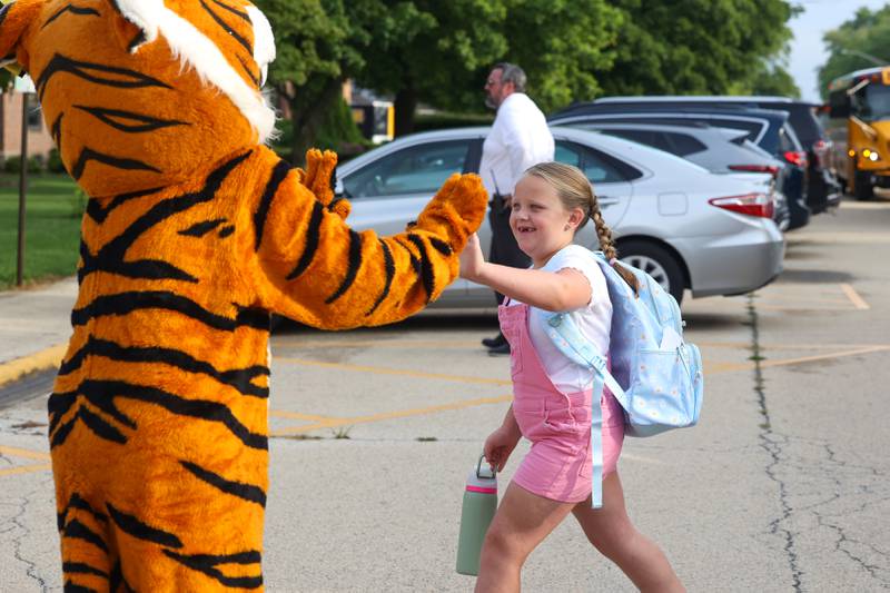 Herscher Intermediate School student Jade Wulff high fives the Tigers mascot as she arrives for the first day of school on Tuesday, Aug. 19, 2025.