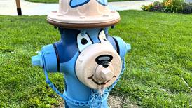 City of DeKalb solicits Paint-A-Plug program applications